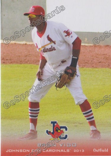 2013 Johnson City Cardinals Brian Vigo