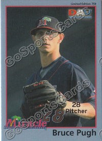 2010 Fort Myers Miracle DAV Bruce Pugh