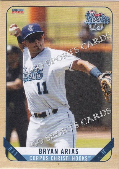 2022 Corpus Christi Hooks Bryan Arias