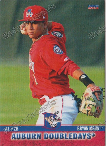 2014 Auburn Doubledays Bryan Mejia