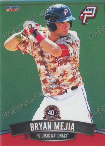 2017 Potomac Nationals Bryan Mejia