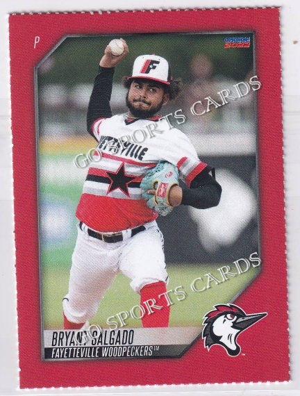 2022 Fayetteville Woodpeckers SGA Bryant Salgado