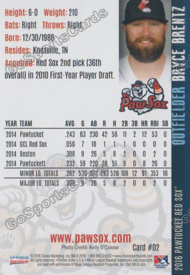 2016 Pawtucket Red Sox Bryce Brentz Back of Card