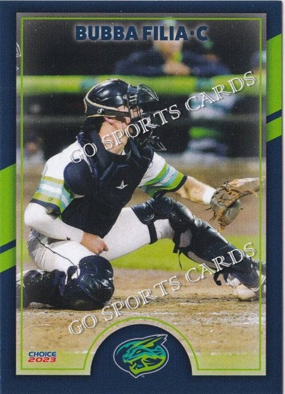 2023 Lynchburg Hillcats Bubba Filia