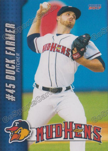 2017 Toledo Mud Hens Buck Farmer
