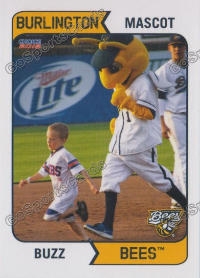 2015 Burlington Bees Buzz Mascot