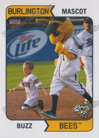 2015 Burlington Bees Buzz Mascot