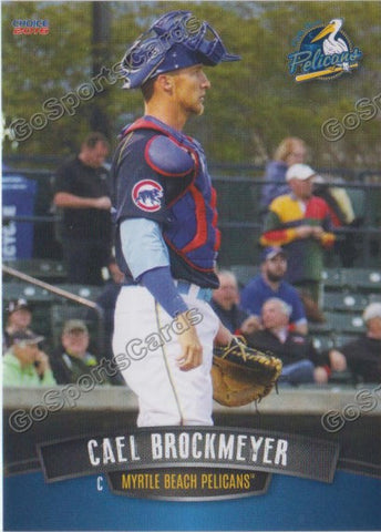 2016 Myrtle Beach Pelicans Cael Brockmeyer