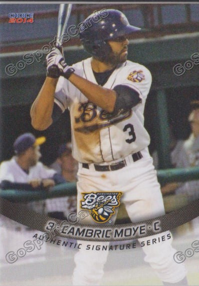 2014 Burlington Bees Cambric Moye
