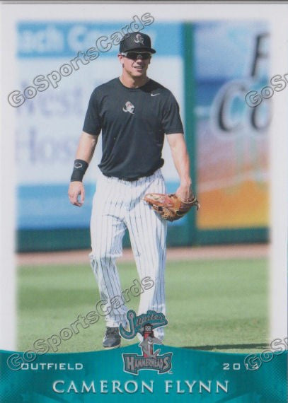 2014 Jupiter Hammerheads Cameron Flynn