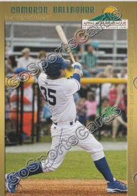 2012 Appalachian League Top Prospects Appy Cameron Gallagher