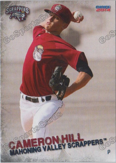 2014 Mahoning Valley Scrappers Cameron Hill