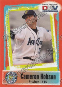2011 Everett AquaSox DAV Cameron Hobson