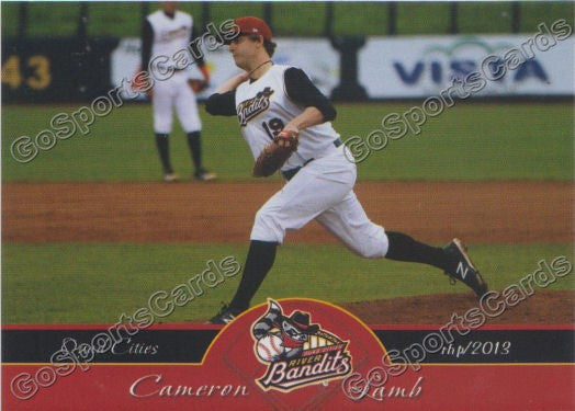 2013 Quad Cities River Bandits Cameron Lamb