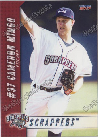 2017 Mahoning Valley Scrappers Cameron Mingo