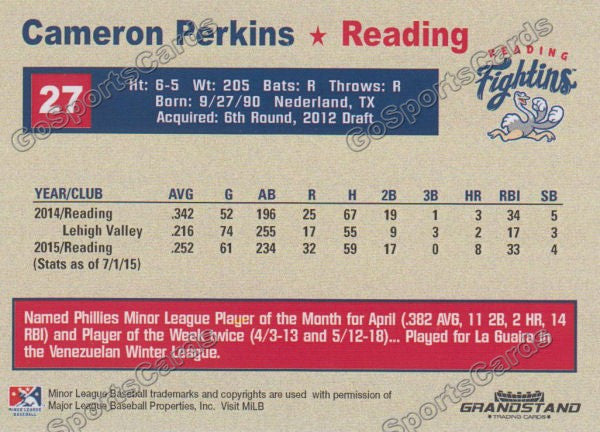 2015 Reading Fightin Phils Update Cameron Cam Perkins  Back of Card