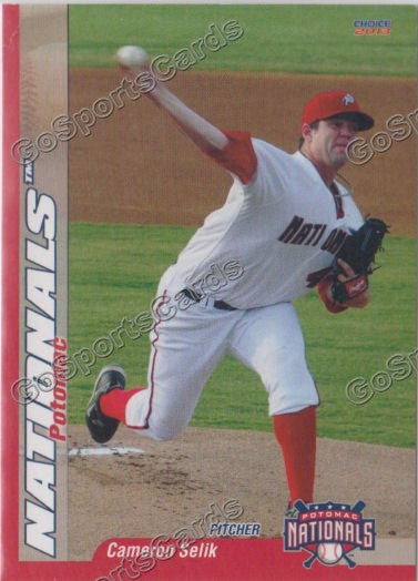 2013 Potomac Nationals Cameron Selik