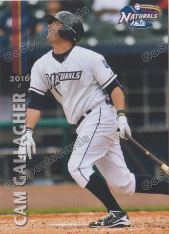 2016 Northwest Arkansas Naturals Cam Gallagher