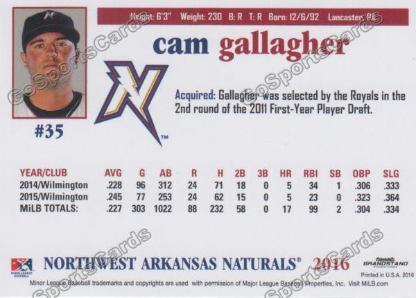 2016 Northwest Arkansas Naturals Cam Gallagher  Back of Card