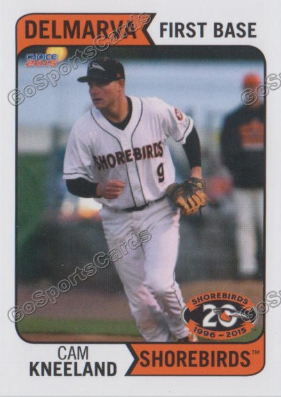 2015 Delmarva Shorebirds Cameron Cam Kneeland