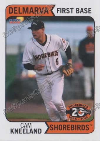 2015 Delmarva Shorebirds Cameron Cam Kneeland