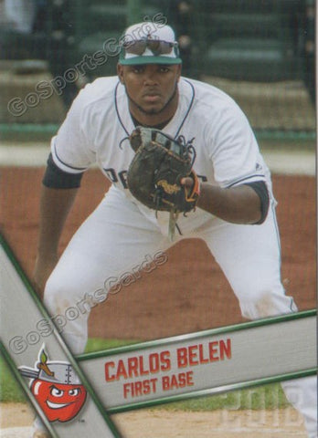 2018 Fort Wayne TinCaps Carlos Belen
