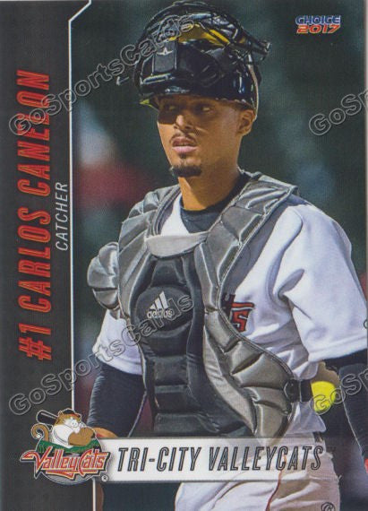 2017 Tri City ValleyCats Carlos Canelon