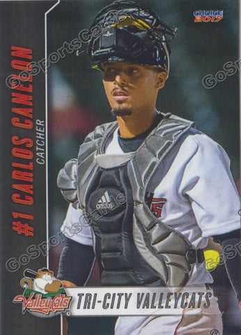 2017 Tri City ValleyCats Carlos Canelon