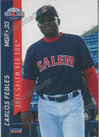 2015 Salem Red Sox Carlos Febles