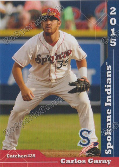 2015 Spokane Indians Carlos Garay