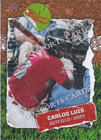 2023 Fort Wayne TinCaps Carlos Luis