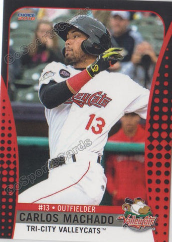 2018 Tri City ValleyCats Carlos Machado