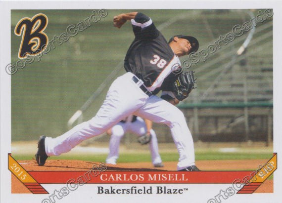 2015 Bakersfield Blaze Carlos Misell