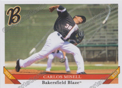 2015 Bakersfield Blaze Carlos Misell