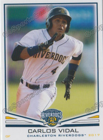 2017 Charleston RiverDogs Carlos Vidal
