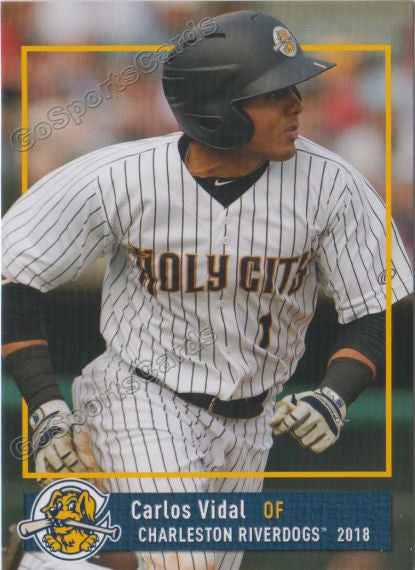 2018 Charleston RiverDogs Carlos Vidal