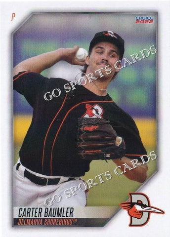 2022 Delmarva Shorebirds Carter Baumler
