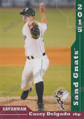 2015 Savannah Sand Gnats Casey Delgado