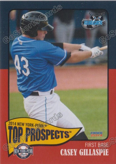 2014 New York Penn League Top Prospect NYPL Casey Gillaspie