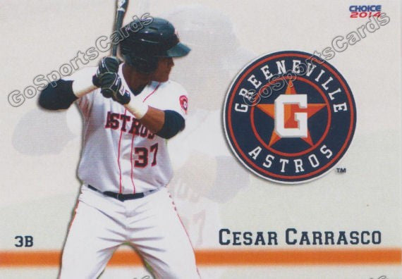 2014 Greeneville Astros Cesar Carrasco