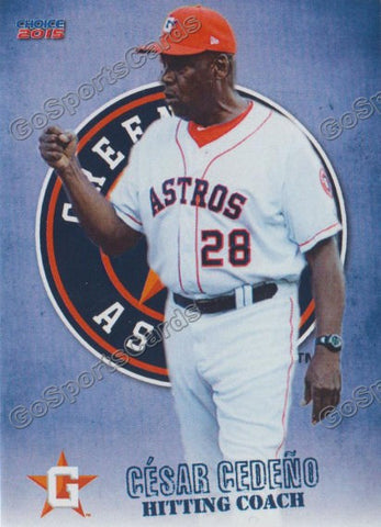 2015 Greeneville Astros Cesar Cedeno