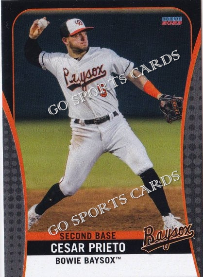 2023 Bowie Baysox Cesar Prieto