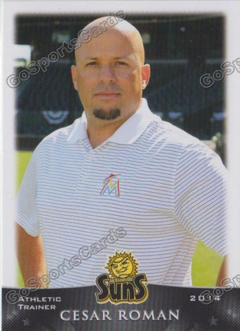 2014 Jacksonville Suns Cesar Roman