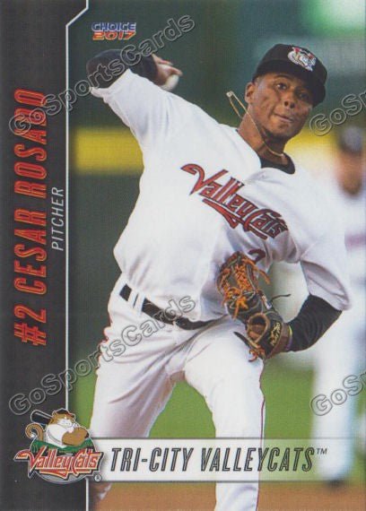 2017 Tri City ValleyCats Cesar Rosado