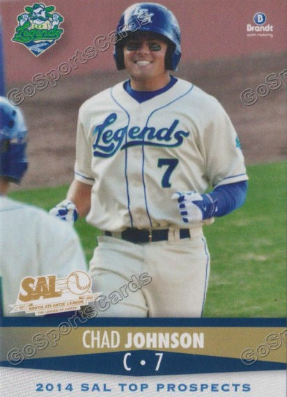 2014 South Atlantic League Top Prospect Chad Johnson