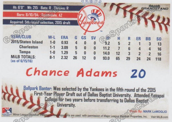 2016 Tampa Yankees Chance Adams Back of Card
