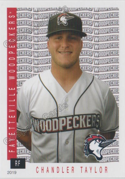 2019 Fayetteville Woodpeckers Chandler Taylor