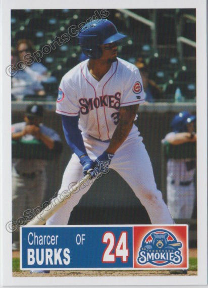 2018 Tennessee Smokies Charcer Burks