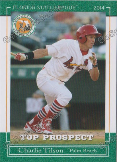 2014 Florida State League Top Prospect Charlie Tilson