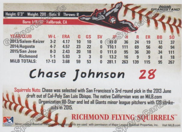 2016 Richmond Flying Squirrels Chase Johnson Back of Card